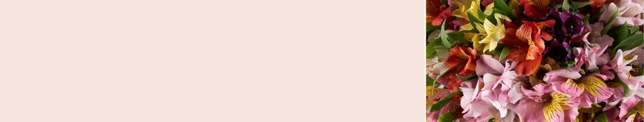 category-banner-img