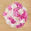 25 Farmer's Choice Peonies