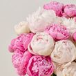 25 Farmer's Choice Peonies