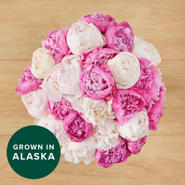 25 Farmer's Choice Peonies