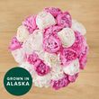 25 Farmer's Choice Peonies