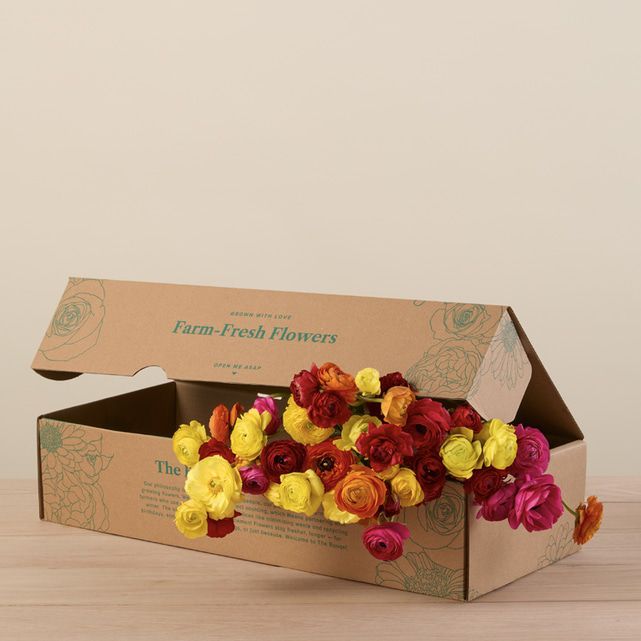 50 Farmer's Choice Ranunculus