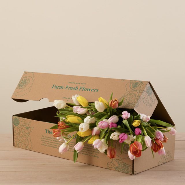 50 Farmer's Choice Tulips