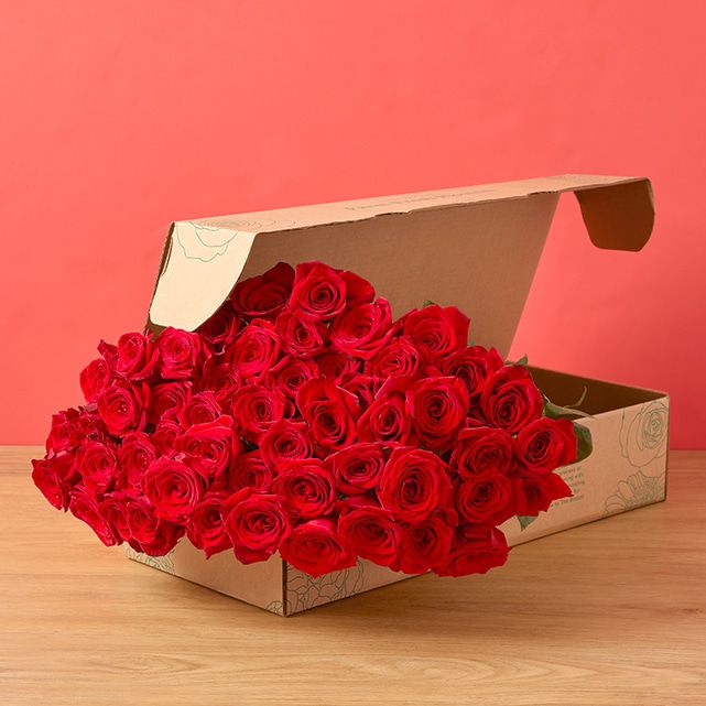 50 Red Roses
