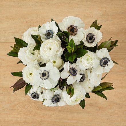 Image of In the Clouds