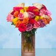 Mother's Day Roses