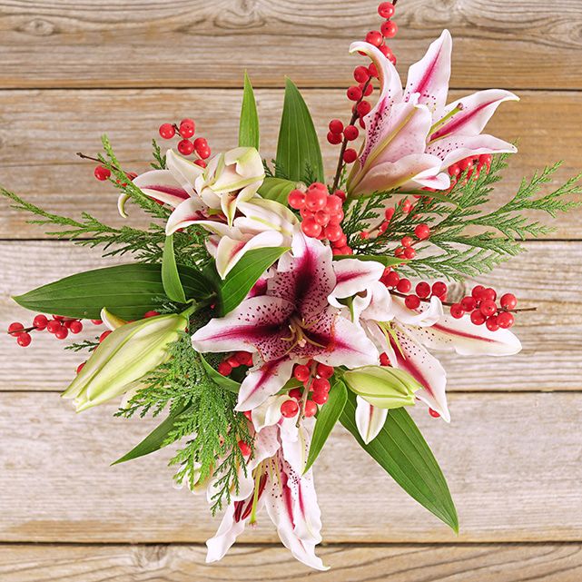 Candy Cane Lilies With Cedar Arrangement - The Bouqs Co.