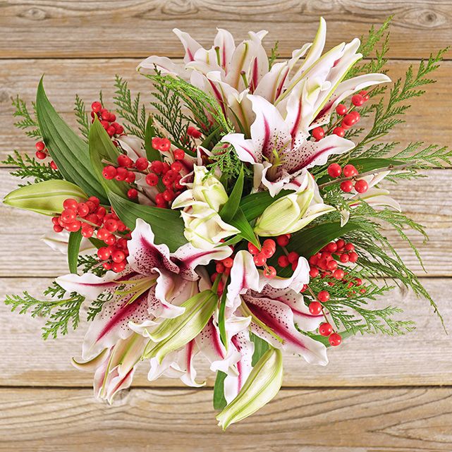 Candy Cane Lilies With Cedar Arrangement The Bouqs Co.