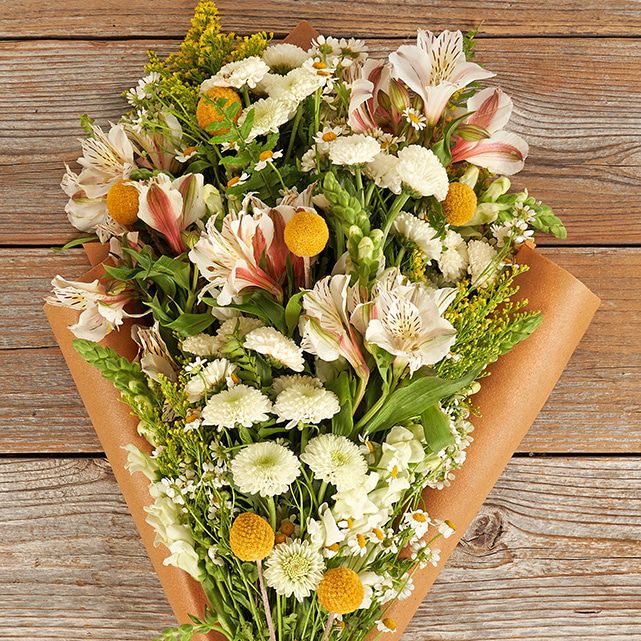 botanical swag wild flowerＡ Rare Intermountain Native Wildflower Seed Mix | High Country