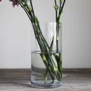 Clear Vase