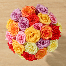 colorful rose mix