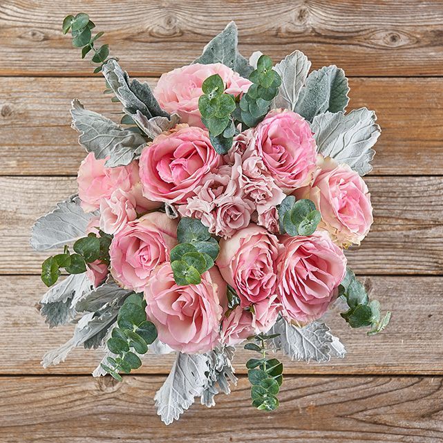 Pink Roses with Eucalyptus and Silver Ragwort The Bouqs Co.