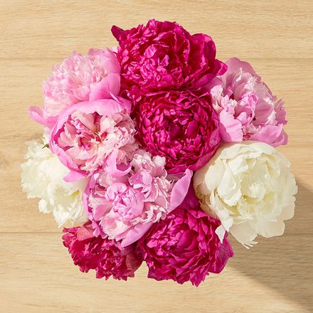Farmers Choice Peonies Bouq