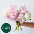 Farmer's Choice Peonies