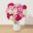 Farmer's Choice Peonies