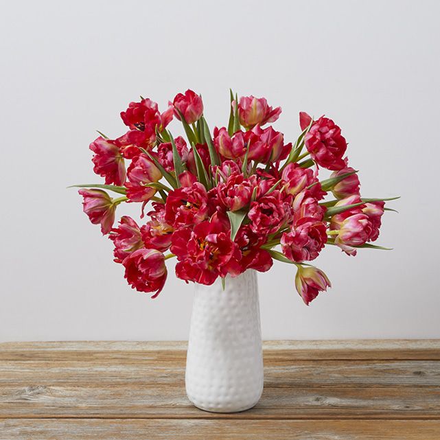 Peony Tulips