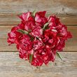 Peony Tulips