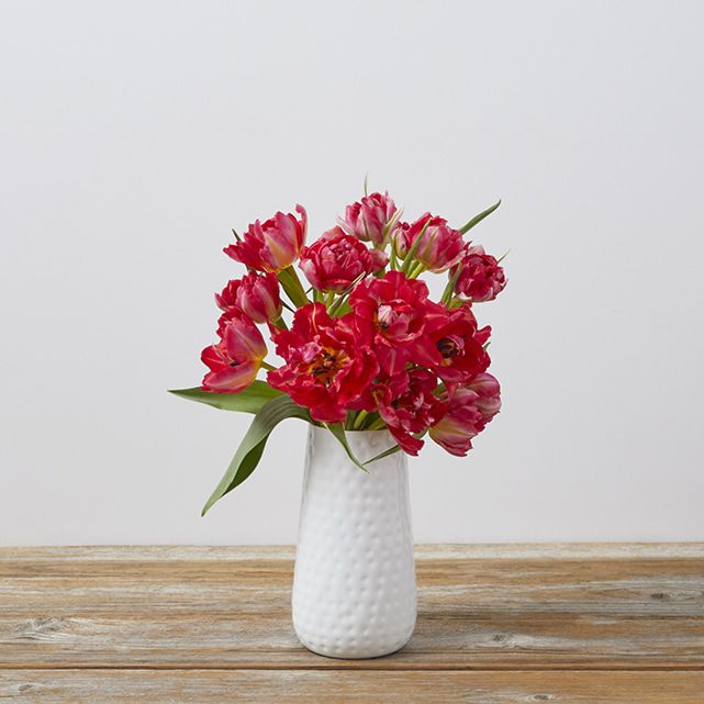 Peony Tulips