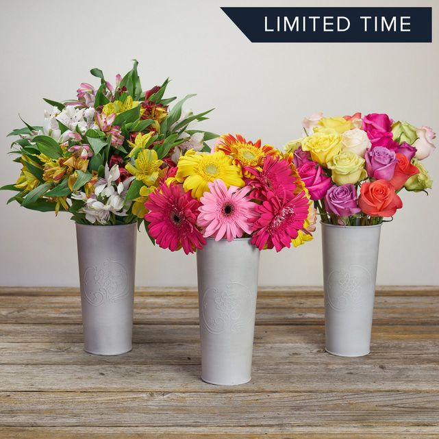 A 3Month Bright Flower Bundle The Bouqs Co.