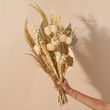 Four Seasons