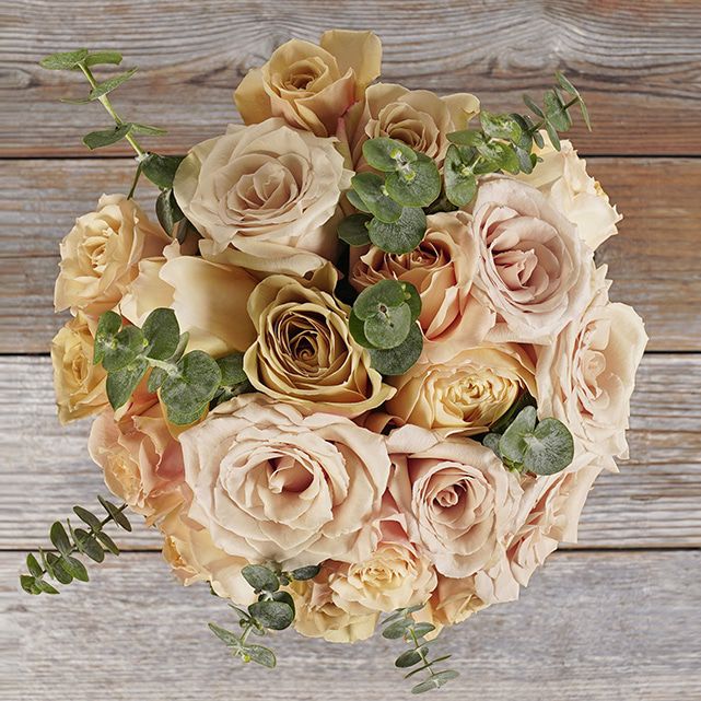 on cloud 50 50 mustard rose