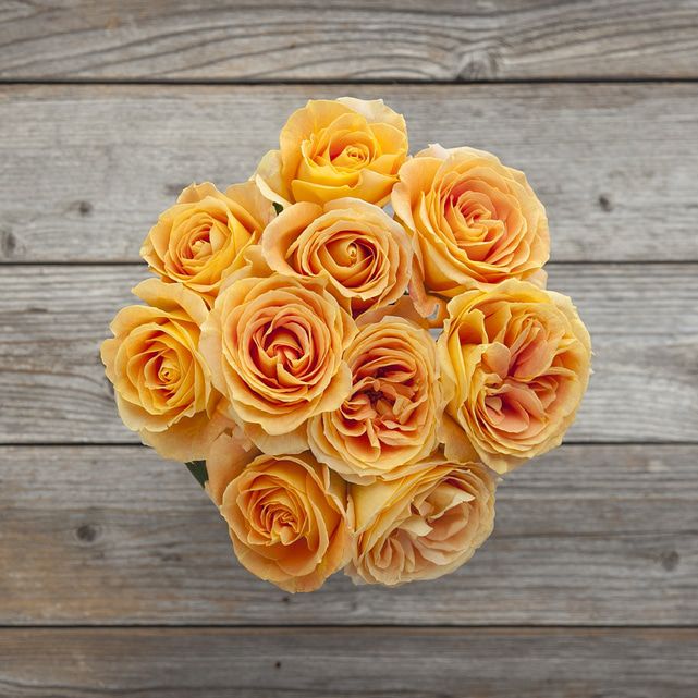 Golden Yellow Garden Roses - The Bouqs Co.