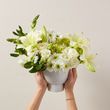 The Illuminating Arrangement