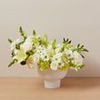 The Illuminating Arrangement