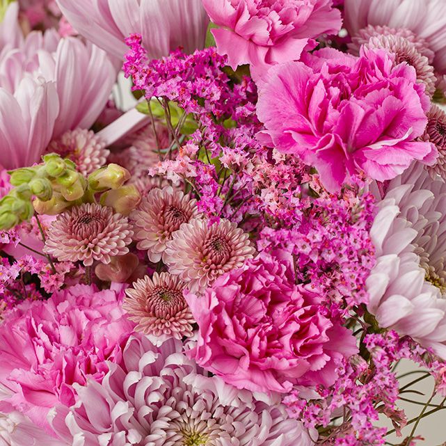 Mixed Arrangement of Lavender Carnations & Chrysanthemums The Bouqs Co.