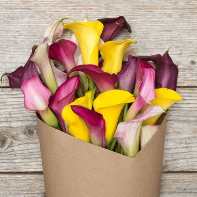 Assorted Mini Calla Lily Floral Arrangement The Bouqs Co.