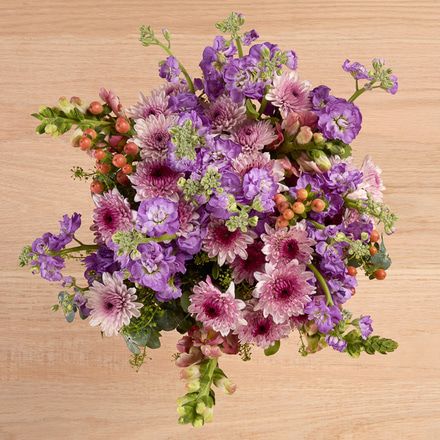 Image of Dreamy Meadow