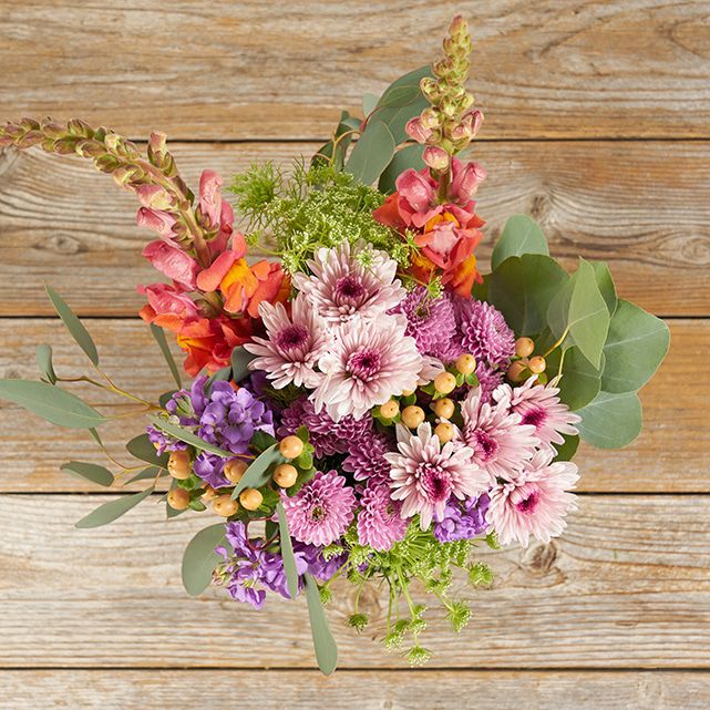 mamoco！BEAQUE MEDI CHOUPRO Dreamy Meadow from The Bouqs Co. | SendFlowers.io