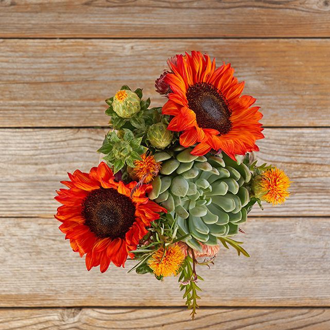 Orange Sunflowers and Succulent Bouquet The Bouqs Co.