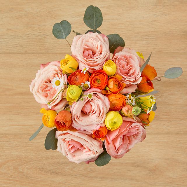 Citrus Chic