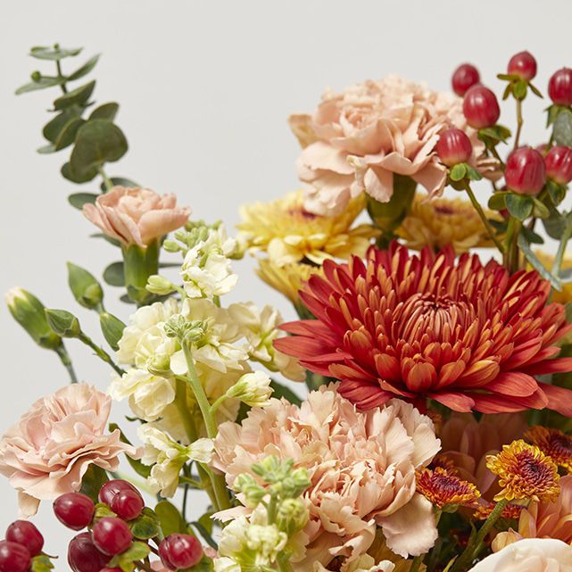 Mixed Fall Bouquet of Roses, Daisies, Carnations - The Bouqs Co.