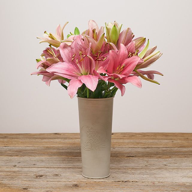 Pink Asiatic Lily Flowers The Bouqs Co.