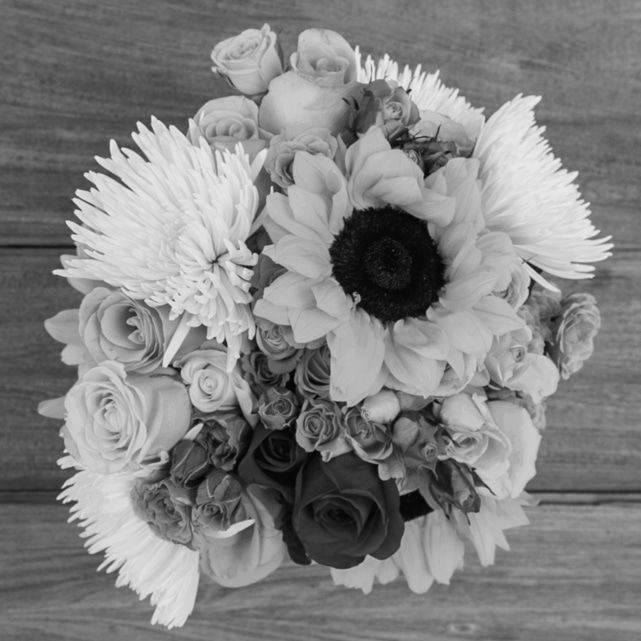 Pink Carnations And Yellow Daisy Flowers On White Stock Photo