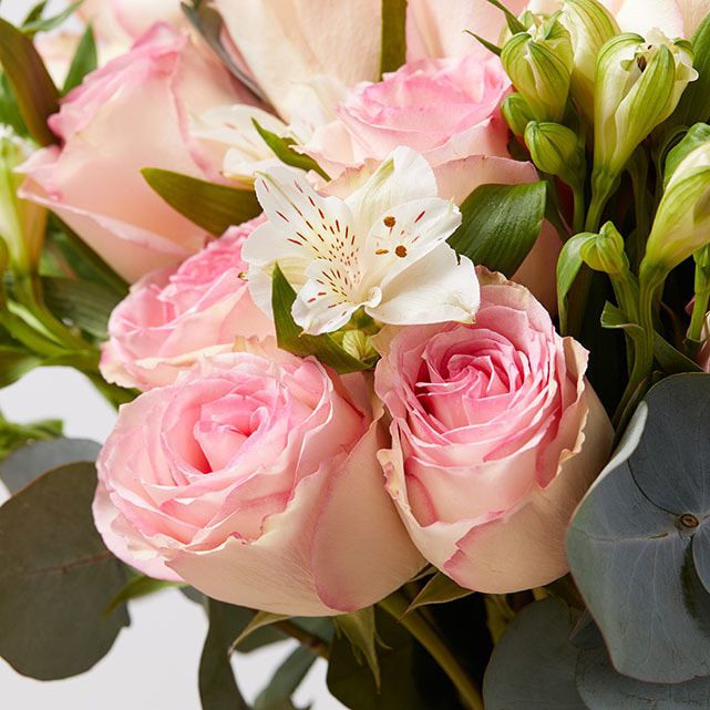 Pink Esperance Roses Bouquet The Bouqs Co.