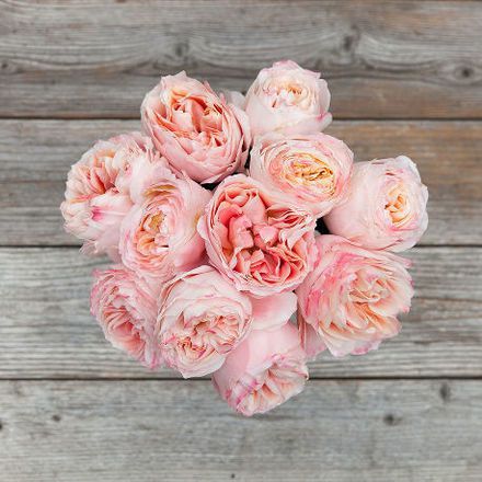 Baby Pink Garden Rose Flower Arrangement - The Bouqs Co.