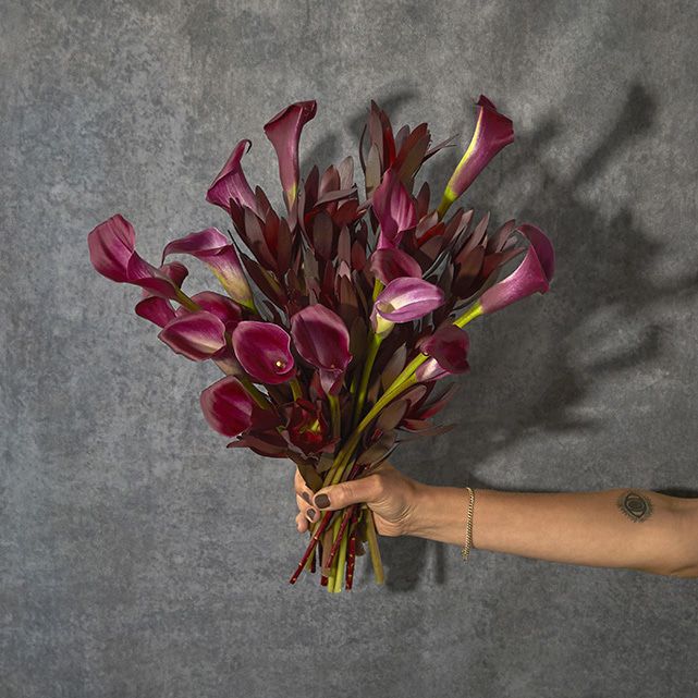 Dark Purple Calla Lily Bouquet - The Bouqs Co.