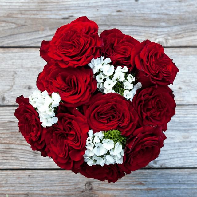 Red Garden Rose & Phlox Flower Bouquet The Bouqs Co.