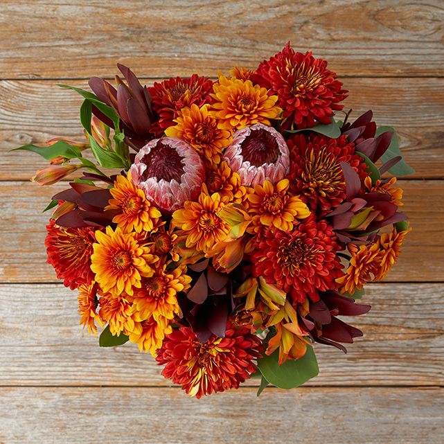 Red Protea + Bronze Mums & Pompons The Bouqs Co.