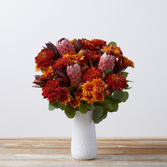 Red Protea + Bronze Mums & Pompons The Bouqs Co.
