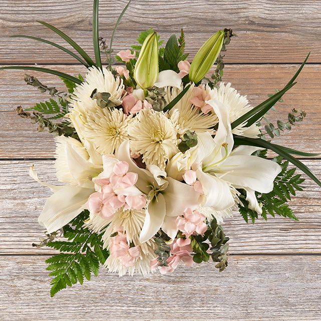 Bouquet of White Spider Mums and Solomios The Bouqs Co.