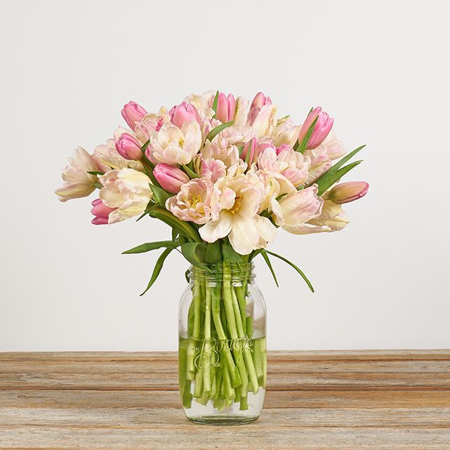 Spring Tulips