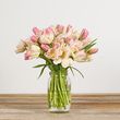 Spring Tulips