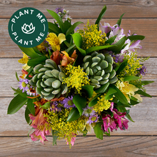 colorful alstroemeria, purple aster, yellow solidago and succulent bouquet