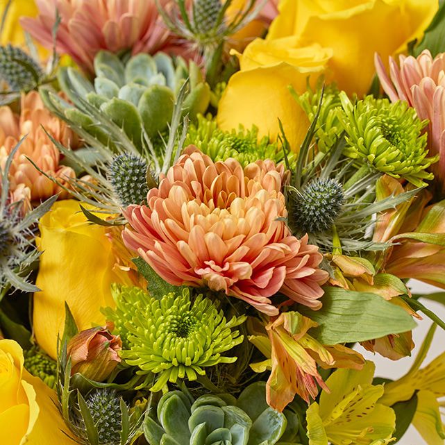 Succulent Bouquet With Yellow Roses Peach Mums The Bouqs Co succulent-bouquet-with-yellow-roses-peach-mums-the-bouqs-co