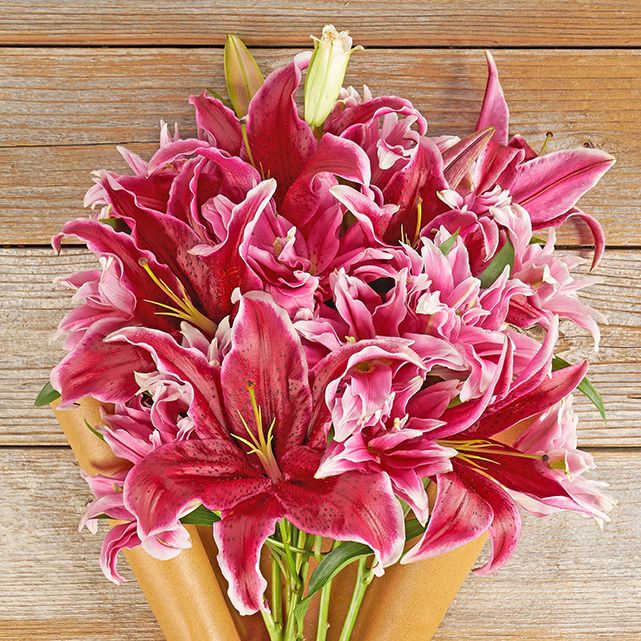 Arrangement of Sumatra Lilies and Roselilies - The Bouqs Co.