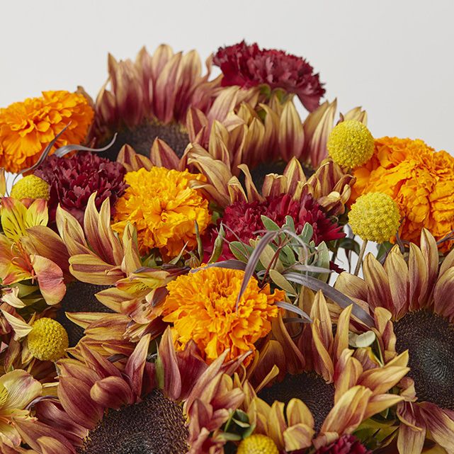 Sunflowers with Carnations & Marigolds The Bouqs Co.